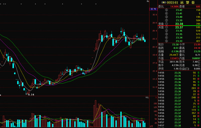 精準(zhǔn)解析遠(yuǎn)望谷 興辦實(shí)業(yè)的戰(zhàn)略與前景